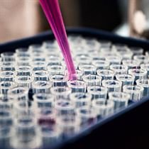 Medical Oncology