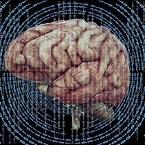 Çocuk Ruh Sağlığı ve Hastalıkları