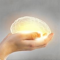 Neurochirurgie (Neurologie)